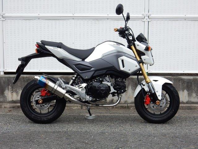 WR’S ダブルアールズ ショートオーバル 焼き色タイプ フルエキゾースト LS1150JM