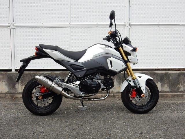 WR’S ダブルアールズ ショートオーバル ソリッドタイプ フルエキゾースト LT1150JM