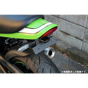 SPEEDRA スピードラ フェンダーレス ドライカーボン CKA1109PG KAWASAKI Z900RS/CAFE