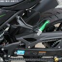 SPEEDRA スピードラ リアフェンダー 純正タイプ ドライカーボン CKA1205PG KAWASAKI NINJA250/400 2018-KAWASAKI Z250 2019-