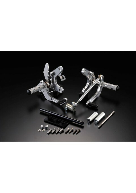 BACK-STEP 4ポジション ディスク (SIL) オーヴァー オーバー OVER レーシング 51-01-12