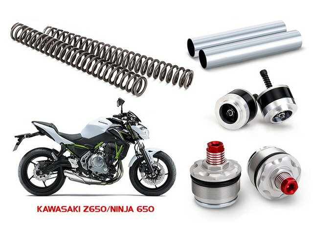 【受注後約3ヶ月】 PMC ピーエムシー Z650 '17- FORK UPGRADE 123-02003