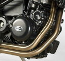 R&G アールアンドジー エンジンケース カバー カラー:ブラック 強度高い 最高耐熱 左右セット HUSQVARNA NUDA900R(12-) RG-KEC0039BK
