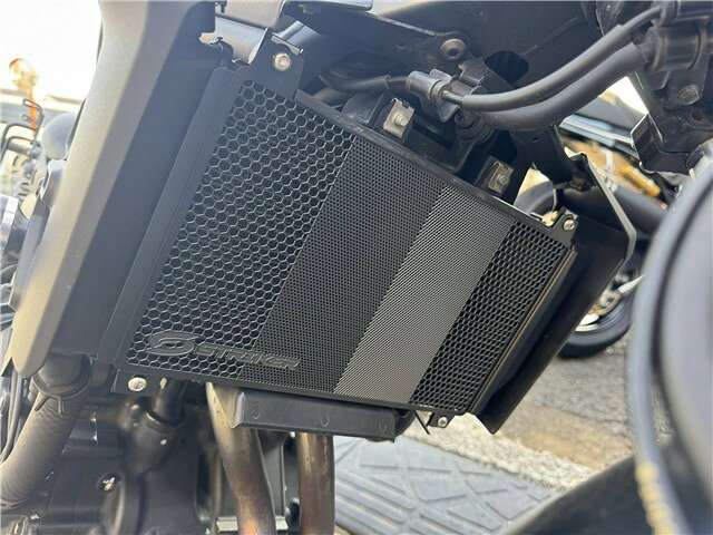 メーカー取り寄せ STRIKER ストライカー ラジエターコアガード Kawasaki `24- ELIMINATOR/SE、`18-Ninja250/400、`18-Z250/400 SS-CG174