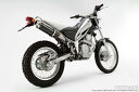 ビームス BEAMS バイク用 マフラー TRICKER FI JBK-DG16J SS 300 カーボン アップタイプ フルエキ フルエキゾースト マフラー B223-08-003