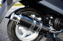 ビームス BEAMS バイク用 マフラー ADDRESS125 2017~ 2BJ - DT11A フルエキ フルエキゾースト SS 300 カーボン SP 政府認証 22年騒音規制対応 G338-08-000