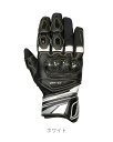 フラッグシップ(Flagship) バイク用 防風防水透湿 秋冬 ウィンターグローブ FG-W614 プログレスカーボングローブ ホワイト Lサイズ FG-W614/WH/L