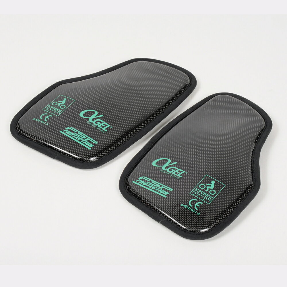 ��15�����ꡪ�����ݥ����ۡ��� �ե�å����å�(Flagship) �Х����� �ץ��ƥ����� ���� Protector CE��٥�2�����ܥ�������ȥץ��ƥ����� �֥�å� �ե꡼������ FSP-1000