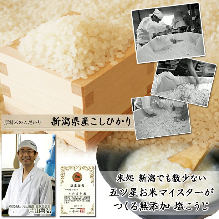 訳あり 無添加 紅鮭 塩糀漬 約250g 数量限定 べにさけ べにざけ 水産加工品 見田元七商店 塩麹漬 塩こうじ お取り寄せグルメ 海鮮 キャンプ食材 お買得 おうちごはん お取り寄せ 漬け魚 魚 天然 味付 切り身