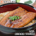 土用の丑 お中元\2尾セット/鹿児島県産 うなぎ蒲焼 国産 長蒲焼 背開き 特大1尾160g 送料無料 ギフト可 丑の日 土用の丑 二の丑 グルメ 高級海鮮 4...