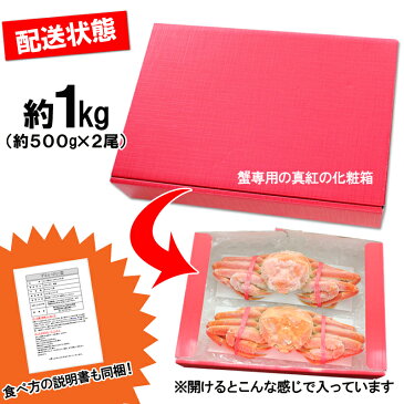 【送料無料】簡単調理 ボイル済ずわい蟹2尾(1Kg前後) かに カニ ずわい ズワイ かに 通販 かに かに鍋
