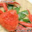 たっぷりかに味噌入 ボイルずわい蟹 2尾 850g前後 送料無料 ボイル済 かに カニ ずわい蟹 ズワイガニ 姿 かにみそ 通販 かに鍋 お祝い パーティー ごちそう グルメ 御中元 お中元 夏ギフト 父の日
