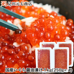 国産 北海道産 鮭 いくら 醤油漬け 1kg（250g×4）【送料無料】いくら1kg イクラ 海鮮 グルメ イクラ 贈り物 魚卵 お祝い パーティー ごちそう 60代 70代 80代 グルメ ウロコボシ いくら お取り寄せ イクラ 北海道