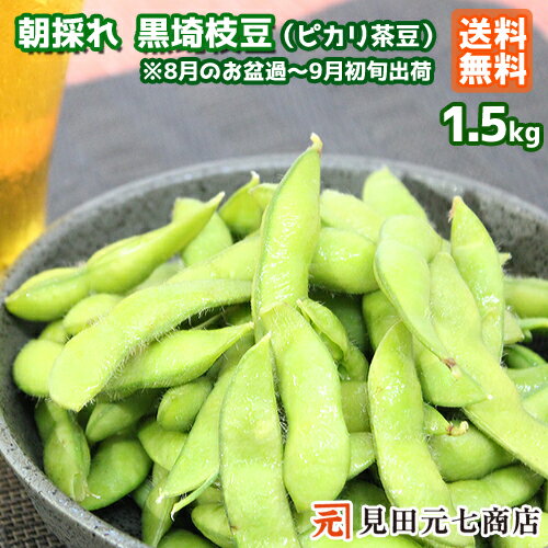 【 受注締切8月21日 】朝採れ 新潟 黒埼産 ピカリ茶豆 1.5kg 送料無料 夏ギフト えだまめ 枝豆 新潟市 黒埼産見田元七商店 黒埼茶豆 ケンミンショーで紹介　（販売期間 2023/08/25 23:59 迄）のサムネイル