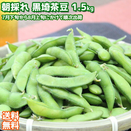 【 受注締切7月31日 】黒埼茶豆 1.5kg 送料無料 夏ギフト えだまめ 枝豆 新潟市 黒埼産見田元七商店