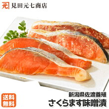 【送料無料】新潟県/佐渡養殖のさくらます味噌漬たっぷり１５切入