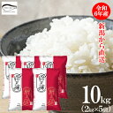 令和6年産 米 新之助 新潟県産 10kg (2kg×5袋) 送料無料 お米 ブランド米 精米 白米 見田元七商店 新米 ※ しんのすけ 国産米 産地直送 おこめ お米 米10kg 米10キロ お米10キロ コメブランド米 父の日
