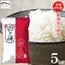 令和6年産 米 新之助 新潟県産 5kg 送料無料 お米 ブランド米 精米 白米 見田元七商店 新米 おこめ ギフト 贈り物