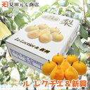贈答用 新潟市南区産 ル レクチエ1kg 新興2kg 合計3kg 送料無料 和梨 新潟県産 梨 なし ナシ 和梨と洋梨の贅沢セット 洋梨の貴婦人 幻の洋梨 洋梨...