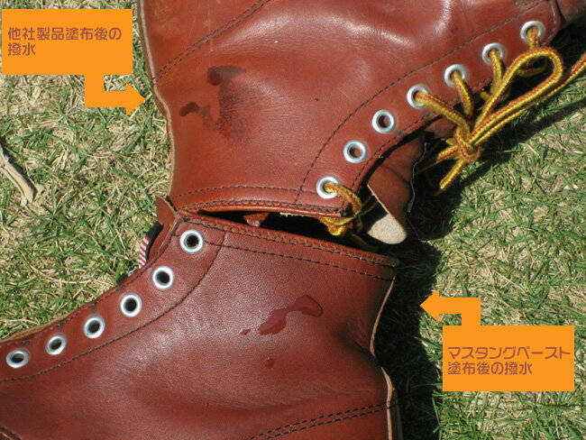 �ǹ��ŷ���ۡ���������إޥ����󥰥ڡ����ȡٳ����ʡ����ƥʥ� (LO-09)