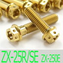 ▽Ninja ZX-25R/SE ZX250E チタンボルトセット オールエンジンカバー レーススペックタイプ ゴールド/26本set (KA2003FSGO)