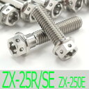 ▽Ninja ZX-25R/SE ZX250E チタンボルトセット オールエンジンカバー レーススペックタイプ シルバー/26本set (KA2003FSSI)