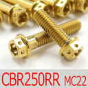▽CBR250RR MC22 チタンボルトセット オールエンジンカバー レーススペックタイプ ゴールド/22本set (HO2005FSGO)