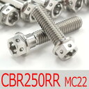 ▽CBR250RR MC22 チタンボルトセット オールエンジンカバー レーススペックタイプ シルバー/22本set (HO2005FSSI)