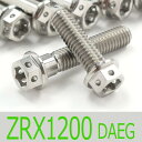 ▽ZRX1200 DAEG/ダエグ ZRT20D チタンボルトセット オールエンジンカバー レーススペックタイプ シルバー/25本set (KA6004FSSI...