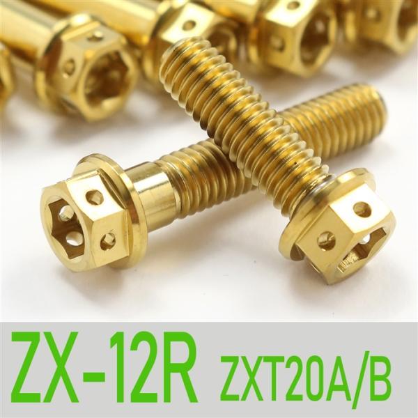 ▽ZX-12R ZXT20A/B チタンボルトセット 右側/クラッチエンジンカバー レーススペックタイプ ゴールド/10本set (KA6001CGO) [中古]