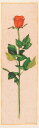 【作家名】ジョアン・ゲレロ 【作品名】レッド・ローズ 薔薇 花 絵画 リトグラフ 版画 額付き 国内送料無料