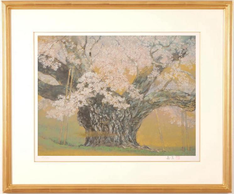 ●画家名：伊藤嘉晃(いとうかこう) ●作品名：淡墨桜 ●絵のサイズ：W60×H46cm ●額装サイズ：W84×H72cm ●版画の技法：リトグラフ ●サイン：作家直筆鉛筆サインと落款 ●納期：14日　額に小傷がありますので新品額に交換してお届けいたします。 伊藤嘉晃(いとうかこう)さんがリトグラフの版画で制作した和の桜の絵「淡墨桜」は、岐阜県本巣市にある「うすずみざくら」と呼ばれる彼岸桜を描いたリトグラフの版画です。 この淡墨桜は樹齢1500余年を誇り、継体天皇のお手植えの桜と伝えられています。 薄いピンクのつぼみが満開になれば白に、そして散り際には淡い墨色になることから淡墨桜と名付けられたと言われています。 樹高17,3m、幹回9,4mの淡墨桜は、山梨県の「山高神代桜」と福島県「三春滝桜」と並んで日本三大桜のひとつに数えられ、国の天然記念物に指定されています。 伊藤嘉晃さんは、この淡墨桜を半世紀にわたって描き続け、ついにこのリトグラフの版画を完成させました。 このリトグラフの版画は、1988年にシンシナティ市立美術館に寄贈した180号の日本画の絵画を原画として制作されています。 満開の時を迎えて、いま絢爛と花開く淡墨桜を描いた素晴らしい和の桜の絵だと思います。 伊藤嘉晃(いとうかこう)　プロフィール 1939年三重県に生まれる。 1962年日本美術院春季展に日本画の絵画が初入選する。 以後、春季展に34回、秋の本展に31回も日本画の絵画が入選する。 1965年院展の院友となり、現在は院展の特待となる。 1982年紺綬褒章を受章する。 以後、紺綬褒章受章3回、県展審査員、岐阜市文化財審議員となる。 1988年岐阜中央未来博のオブジェ「薄墨桜」の大陶壁を制作する。 アメリカのオハイオ州にあるシンシナティ市立美術館に日本画の絵画「淡墨桜」180号を寄贈し、国際的に「淡墨桜の日本画家」として名声を博す。 1990年「臥龍桜日本画大賞展」の審査員を務める。 1994年日本美術院春季展に出品した日本画の絵画を外務省が買い上げる。 1999年日本郵便より、ふるさと切手「淡墨桜」が発行される。 2002年愛知県尾西市(現在は一宮市)三岸節子記念美術館の館長に就任する。 2009年奈良の薬師寺に日本画の絵画「淡墨桜」を寄贈する。 2017年岐阜市市民栄誉賞を受賞する。