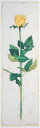 【作家名】ジョアン・ゲレロ 【作品名】イエロー・ローズ 薔薇 花 絵画 リトグラフ 版画 額付き 国内送料無料