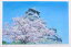 【作家名】石井清 【作品名】熊本城の春・G 熊本城 風景画 絵画 桜 ジークレー 版画 額付き 国内送料無料 55,000円