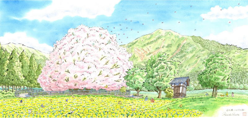 ●画家名：内藤謙一 ●作品名：南阿蘇・一心行の桜・G ●絵のサイズ：W48×H23cm ●額装サイズ：W68,5×H43,5cm ●絵画の技法：ジークレー ●サイン：作家直筆サイン ●シリアルナンバー：2/100 内藤謙一さんがジークレーの版画で制作した絵「南阿蘇・一心行の桜・G」は、2015年に制作されたジークレーの版画作品です。 このジークレーの版画は、内藤謙一さんが描いた水彩画の絵画を元にして制作されました。 一心行の桜は、熊本の南阿蘇にあり樹齢400年、樹高14m、枝張東西21m、南北26m。幹囲7mの大桜です。 戦国時代、南阿蘇は峯村（みねむら）と呼ばれていました。 この地に築城された鶴翼城（かくよくじょう）に住み、熊本県の三角にある矢崎城の城代を兼任していた伯耆守惟冬は、1580年（天正8年）に薩摩の島津氏との戦いで、矢崎城で戦火に散りました。 その妻子は主の死後、少数の家臣とひそかに故郷の峯村に戻り、戦いに散った城主と家臣たちの御霊を弔うために桜の苗木を植え、一心に行をおさめたというところから「一心行」の名がついたと語り継がれています。 僕も個人的に一心行の桜を見るのが大好きで、毎年春になるとわくわくしながら開花を待っています。 満開の時期になると、お弁当持参で妻や友人たちと南阿蘇に出かけます。 春の晴天に一心行の桜を見ながら食べるお弁当は、少し肌寒いのを我慢すれば最高の気分です。 内藤謙一さんがジークレーの版画で制作した絵「南阿蘇・一心行の桜・G」を、ぜひご自宅のインテリアやプレゼントの絵としてご購入ください。 内藤謙一　プロフィール 1951年東京・中野に生まれる。 1974年多摩美術大学グラフィックデザイン科を卒業する。 （株）電通に入社する。 テレビCM制作を中心に数多くの広告企画に携わる。 1983年（株）電通九州の支社長として熊本に赴任する。 広告代理店勤務のかたわら画材道具を抱えて一人、国内外の街をスケッチ旅行をする。 現在は九州を中心に水彩画の絵画の個展を開催している。 福岡在住。 主な絵画の個展 「風のむくままヨーロッパ8カ国」 1986年　ギャラリー中沢(銀座) 「36.5℃の町並み」 1991年　上通りギャラリー(熊本) 「ピーターラビットの丘」 1998年　ギャラリーおいし(福岡) 島田美術館(熊本) 「豊前・長門2003」 2003年　ギャラリーオークル　(小倉) 「風の向くまま2005」 2005年　ヨネザワギャラリー(熊本) 「この街から欧州まで」 2008年　島田美術館（熊本） 著作 絵葉書「薫風の城下町くまもと」 　 (販売：鶴屋百貨店) 画集「熊本水彩画紀行」