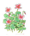 【作家名】内藤謙一 【作品名】スタイル・2 シクラメン 絵画 花 静物画 版画 ジークレー 額付き 国内送料無料