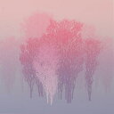 【作家名】池上壮豊 【作品名】照遠 木 絵画 樹 絵 版画 シルクスクリーン 額付き 国内送料無料
