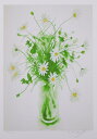 【作家名】山口英明【作品名】マーガレットの花束