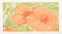 【作家名】吉村明子【作品名】Full Bloom3 花 絵画 ハイビスカス シルクスクリーン 版画 額付き 国内送料無料
