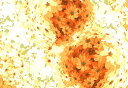 花 絵画 版画 シルクスクリーン 吉村明子 「Brilliant bloom 2」 額付き 国内送料無料
