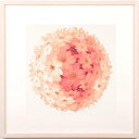 吉村明子 Floral ball 1 花 絵画 桜草 インテリア シルクスクリーン 版画 プレゼント コレクション 新築祝い 開店祝い 新品額付き 国内送料無料 ■