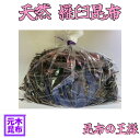 【羅臼昆布】天然 ラウス昆布の切れ端 1kg 【昆布 だし昆布 らうす昆布 切り落とし 訳あり ラウス昆布 北海道産 国産 羅臼産 お鍋 出汁 和食】