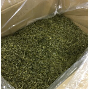 【送料無料】特上・がごめ昆布（細切り）100g (保存に便利なチャック付き袋です) 【北海道産】 国産【刻みガゴメ昆布】納豆昆布【がごめ昆布粉末】フコイダン がごめ がごめ ガゴメ うま味 ねばねば昆布 送料込み ガゴメ昆布　健康 がごめ　ヒルナンデス