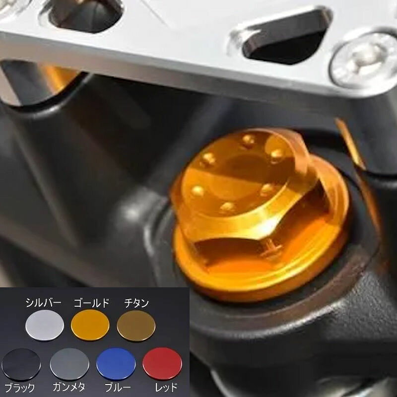 AGRAS アグラス 446-022-100 ステムナット SUZUKI SV650