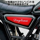 デイトナ DAYTONA 46457 ハーフサイドカバー 無塗装ブラック ヤマハ SR400/500