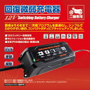 95027 【在庫あり】バッテリー充電器 12V デイトナ 