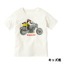 KAWASAKI純正 カワサキ タンデムスターベアーTシャツ kids キッズ 110～130cm J8901-0830 J8901-0831 J8901-0832