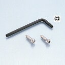 キタコ KITACO 095-0400160 トルクスタンパービスセット M4×16 2本 盗難防止用 工具付き セキュリティビス