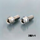 キタコ 0900-060-00001 KITACO ビビッドボルト(ステンレス) M6×12mm/P1.0 2個セット