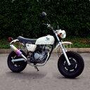 モリワキ MORIWAKI 01810-L31E8-00 フルエキゾーストマフラー ZERO TD ANO HONDA APE50 08年〜